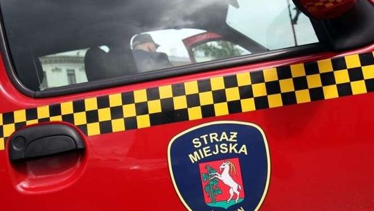 Praca w Lublinie: Marna płaca, marny nabór do Straży Miejskiej