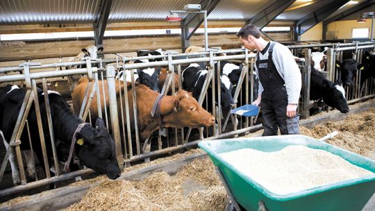Praca w rolnictwie za 13-14 tysięcy zł miesięcznie. Szukają chętnych także z woj. lubelskiego