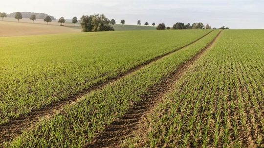 Praca za granicą - wskazówki i podpowiedzi. Sprawdź zanim wyjedziesz