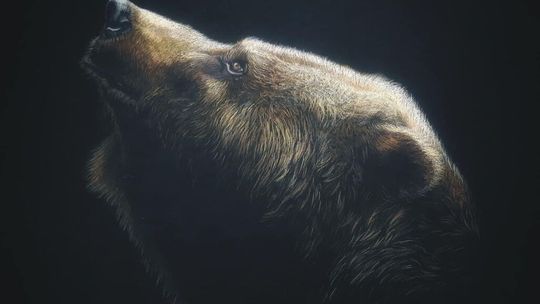 Prace Anny Prokop Anais w Galerii 31