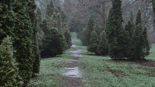 Prace w Parku Ludowym w Lublinie rozpoczną się jeszcze w tym miesiącu. Co się zmieni?