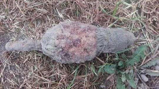 Pracował w polu. Trafił na minę przeciwpiechotną