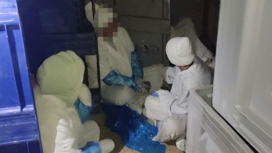 Pracowali nielegalnie. Gdy przyszła kontrola, schowali się w... pojemnikach na mięso