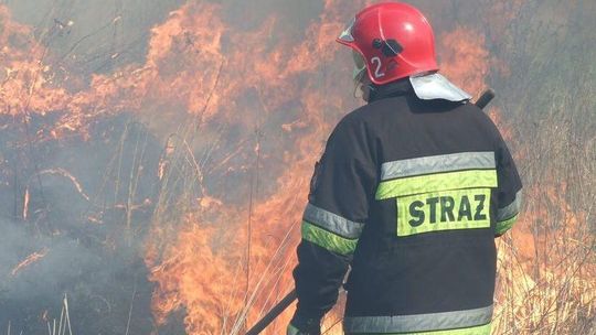 Pracowite święta strażaków. Wyjeżdżają głównie do wypalania traw