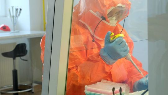 Pracownicy przedszkoli po szkoleniu na kwarantannę