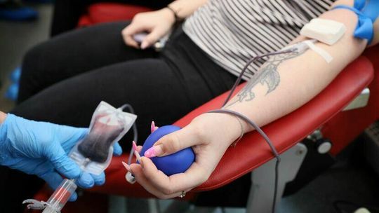 Pracownicy RCKiK ruszają w trasę. Poszukają dawców krwi, płytek i osocza