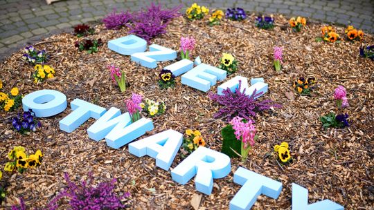 Praktyczne studia i nowe możliwości. UP w Lublinie otwiera się na kandydatów
