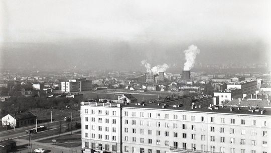 Prawdziwy cyrk z okna przy Krańcowej