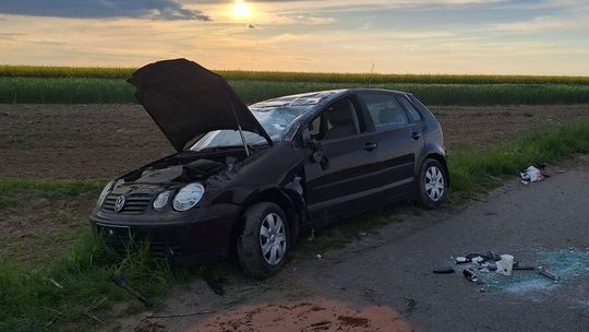 Prawo jazdy miała od miesiąca. Wystraszyła się zająca