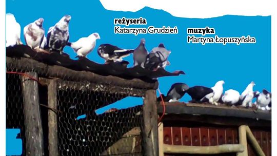 Premiera spektaklu "Dziób w dziób" w Puławach