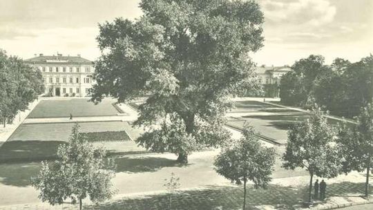 Prezentacja Euzebiusza Maja o Baobabie