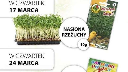 Prezenty dla Czytelników: Rzeżucha i farbki do jaj