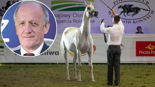 Prezes stadniny w Janowie Podlaskim prosi o pieniądze. "Przyszłość to stado bydła"