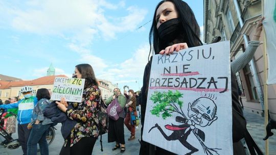 Prezydent Lublina zapowiada spotkanie z obrońcami drzew z ul. Lipowej