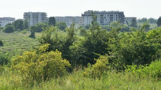 Prezydent zgodzi się na budowę bloków na górkach czechowskich? Dziś poznamy decyzję