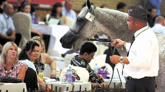 Pride of Poland w niedzielę. Kto przyjedzie na aukcję? [program]