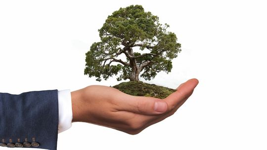 Priorytety w lubelskim, REACT-EU – odpowiedź na kryzys po pandemii