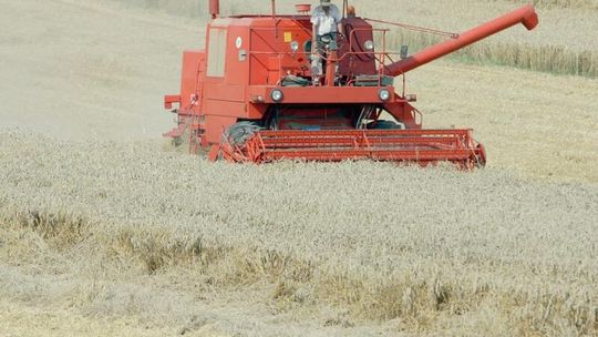 Prof. Gorzelak w woj. lubelskim: Wasza sytuacja nie jest łatwa