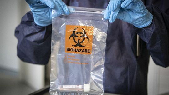 Prof. Gut o nowych wariantach koronawirusa: Nie grozi nam klęska instytucjonalna