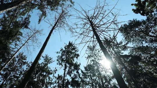 Prognoza pogody na najbliższe dni. "Nawet 12 stopni Celsjusza"