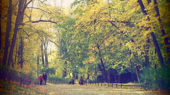 Prognoza pogody na weekend. Wraca ciepło