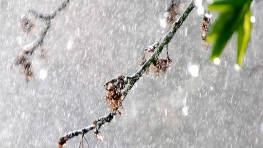 Prognoza pogody: Wreszcie idzie wiosna