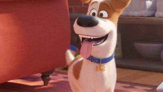 Program TV 27-29 marca 2020. Co warto zobaczyć w telewizji?