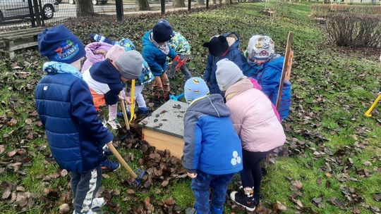Prosta sprawa. Dzieci zatroszczyły się o jeże i zrobiły im domki na zimę