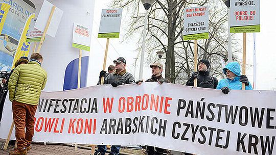Protest hodowców koni. Apelują o przywrócenie do pracy zwolnionych prezesów stadnin