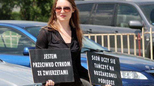 Protest przed cyrkiem. \"Kulisy cyrku nie są śmieszne\"