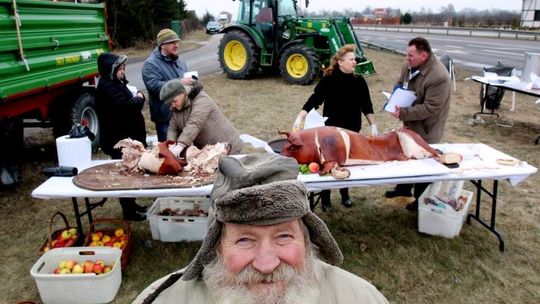 Protest rolników na drogach: W Bogucinie częstowali prosiakiem