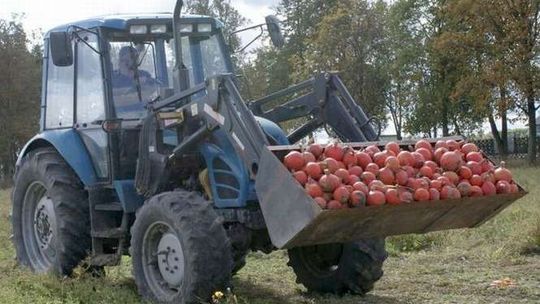 Prowadzą najlepsze ekologiczne gospodarstwo towarowe w Polsce