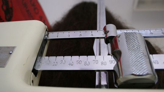 Przebadali zdrowie uczniów z dwóch gmin w woj. lubelskim. Wyniki alarmujące