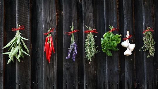 Przeboje polskiej kuchni, czyli schabowy, rosół i zrazy