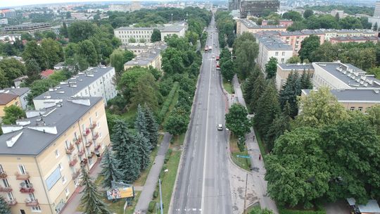Przebudowa Al. Racławickich. Przesadzą 60 drzew, które miały być wycięte? 