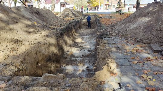 Przebudowa rynku w Wąwolnicy. "Drzewa na pewno nie ucierpią" 