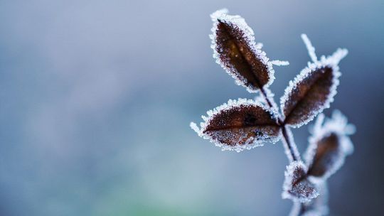Przed nami zimna noc. IMGW wydaje alert