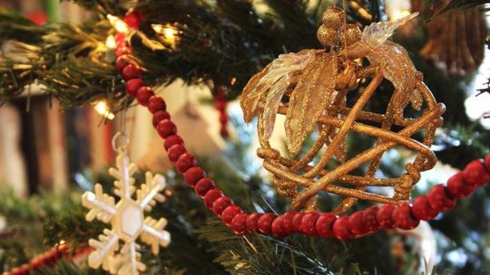 Przed Ratuszem stanie sztuczna choinka