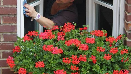 Przedświąteczne porządki skończyły się pobytem w szpitalu