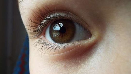 Przedszkolanka ma zapłacić mandat za zgubienie dziecka. "Nawet nie zawiadomiła nas czy policji"