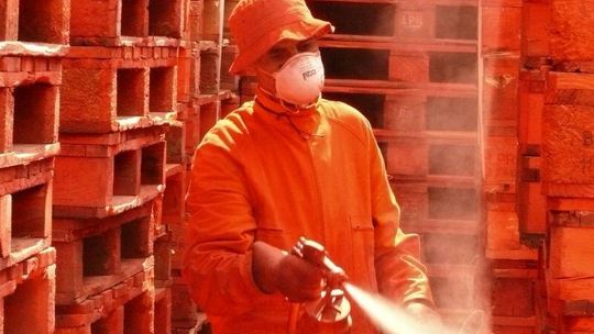 Przegląd Nowego Kina Francuskiego w Lublinie