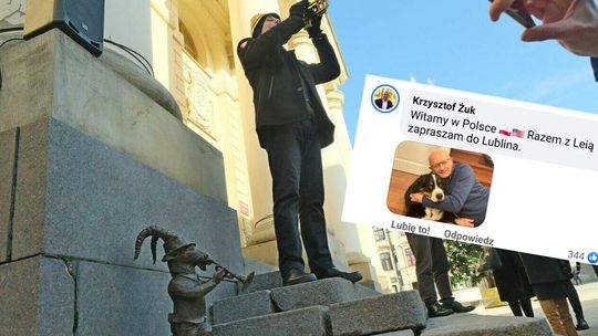 Przegląd tygodnia, czyli pieskie hau ar ju?