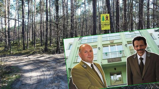 Przegląd tygodnia, czyli w puszczy jak w rodzinie