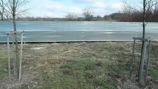 Przegląd tygodnia. Spryciarz, wizjoner i nieugięty