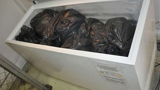 Przekąski, desery, kanapki. Wszystko ląduje w koszu i trafia do utylizacji. W tym roku 77 ton