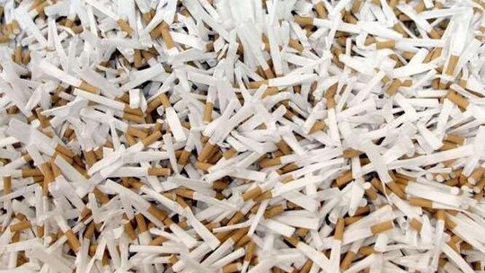 Przekręt na lubelskim tytoniu? Właściciel może odpowiedzieć za pranie brudnych pieniędzy