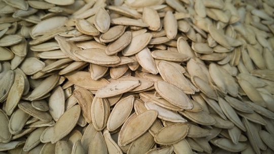 Przekręt na pestki dyni. Producentce umknęła jedna ważna rzecz