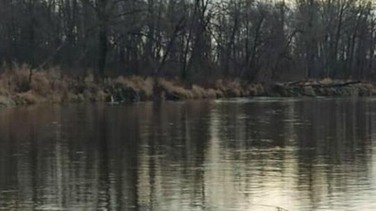  Przekroczone stany ostrzegawcze na Bugu i Krznie