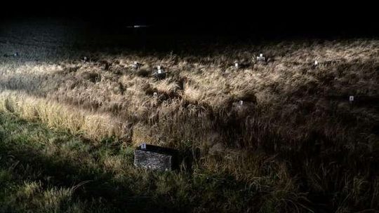 Przeleciał nad polem i zrzucił kartony. Strażnicy się nimi zajęli