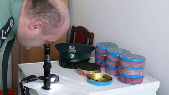 Przemycał 5 kg czarnego kawioru z ryb objętych ochroną 
